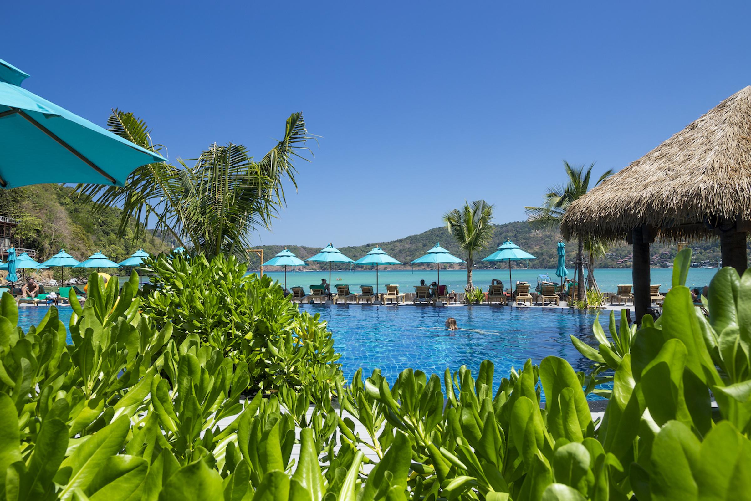Coco - Sha 4*
